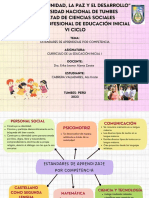 Estandares de Aprendizaje Por Competencia