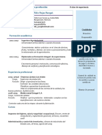 Curriculum Vitae Felix Rojas.