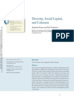 Diversity, Social Capital and Cohesion