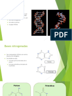 Presentacion Acidosnucleicos