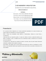 Informe Academico 2 Matematica