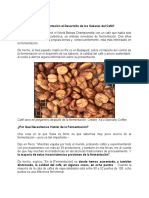 ¿Cómo Afecta La Fermentación El Desarrollo de Los Sabores Del Café