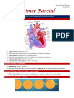 1 Parcial Materia Fisio Ii