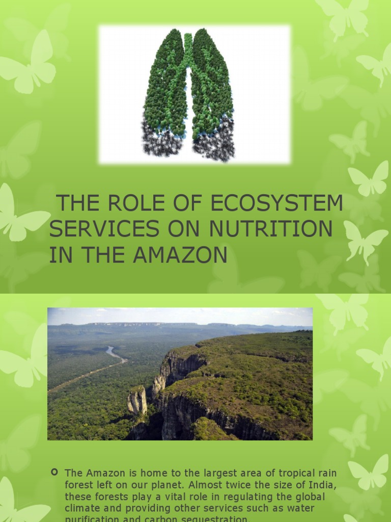 the-role-of-ecosystem-services-on-nutrition-pdf-biodiversity