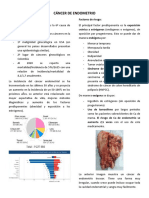 Cáncer de Endometrio e Hiperplasia Endometrial