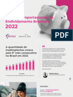 Pesquisa SERASA - Endividamento Brasileiro