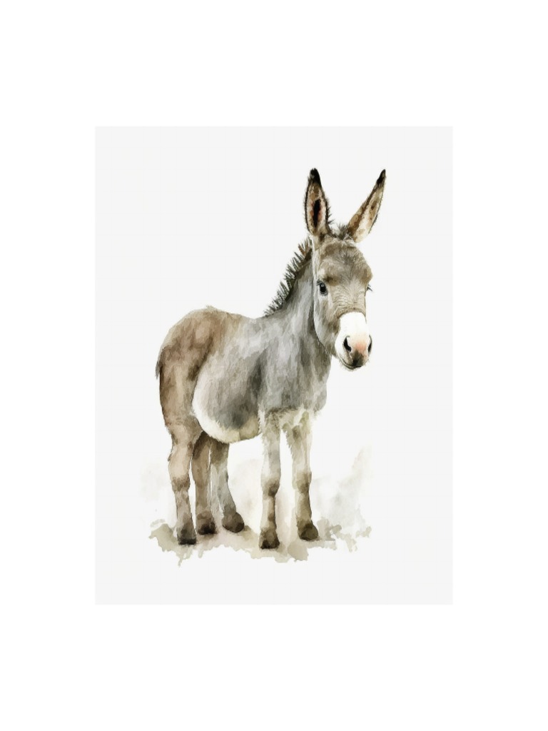 Donkey 1 | PDF