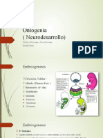 Neurodesarrollo