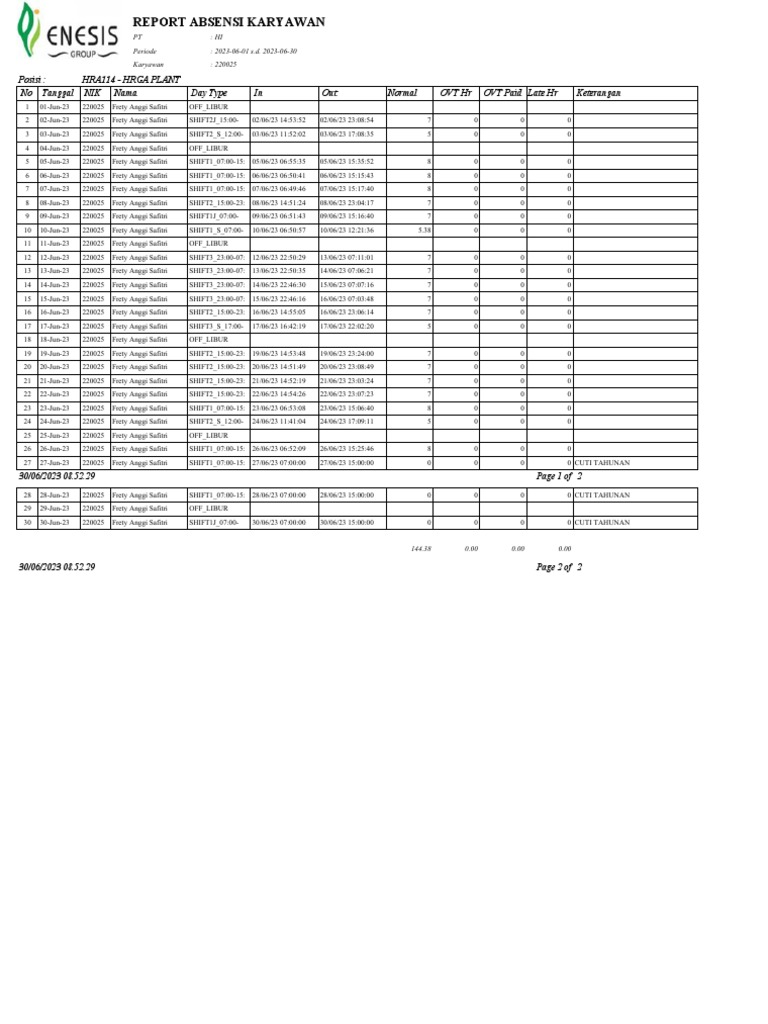 User report viewer pdf