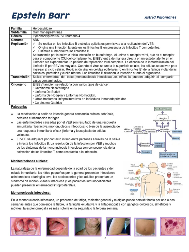 Epstein Barr y Citomegalovirus: Infecciones y Cáncer | PDF | Virus ...