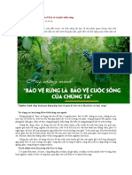 Quy định của Pháp luật về bảo vệ và phát triển rừng