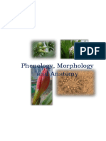 13 - Chapter 3 Phenology, Morphology and Anatomy