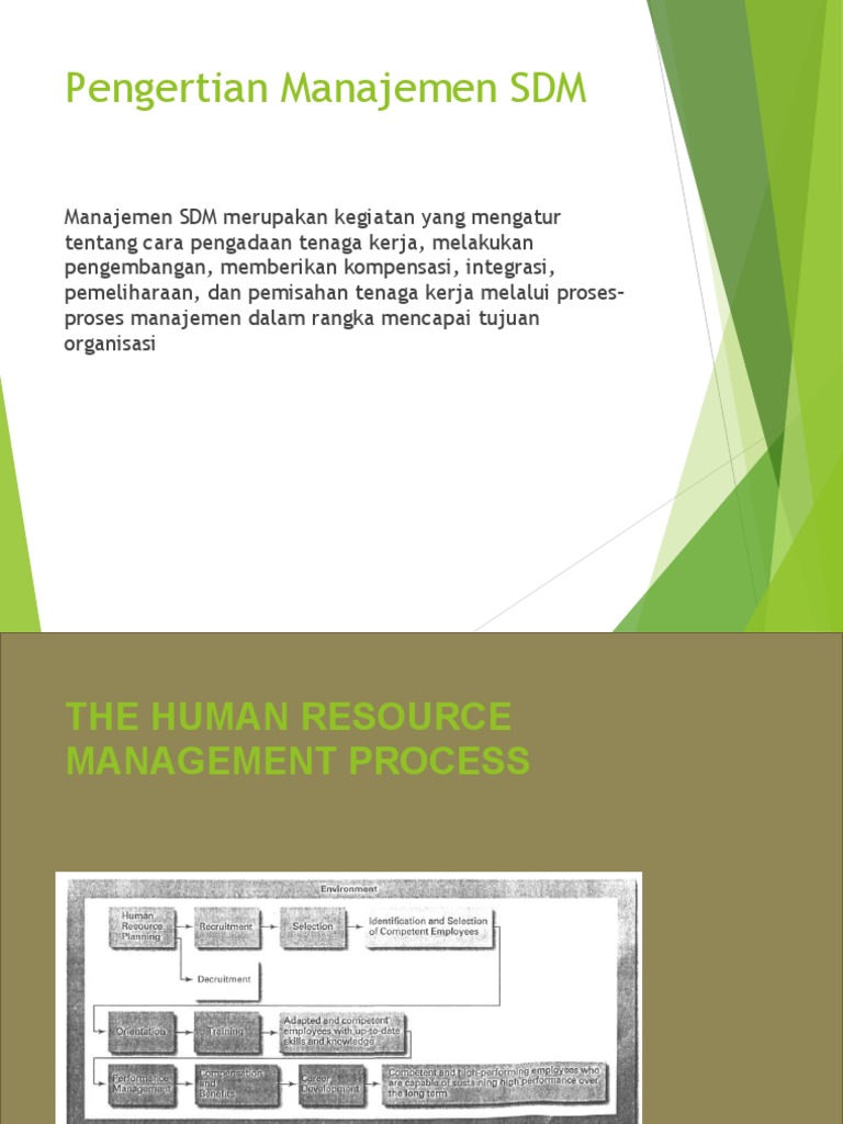 Human Resource Management Process | Download Free PDF | Recruitment ...