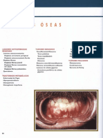 J - Philip - Sapp - Patologia - Oral - y - Maxilofa (1) - 80-114