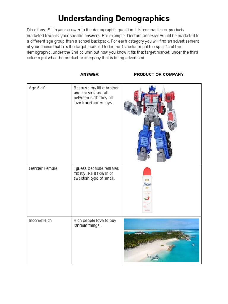 Target Market Demographics Analysis | PDF