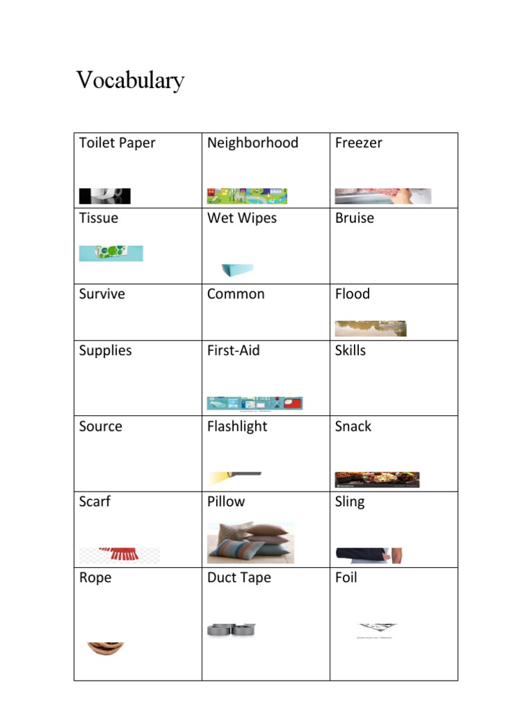 Vocabulary | PDF