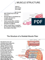 Physiology Slide #1