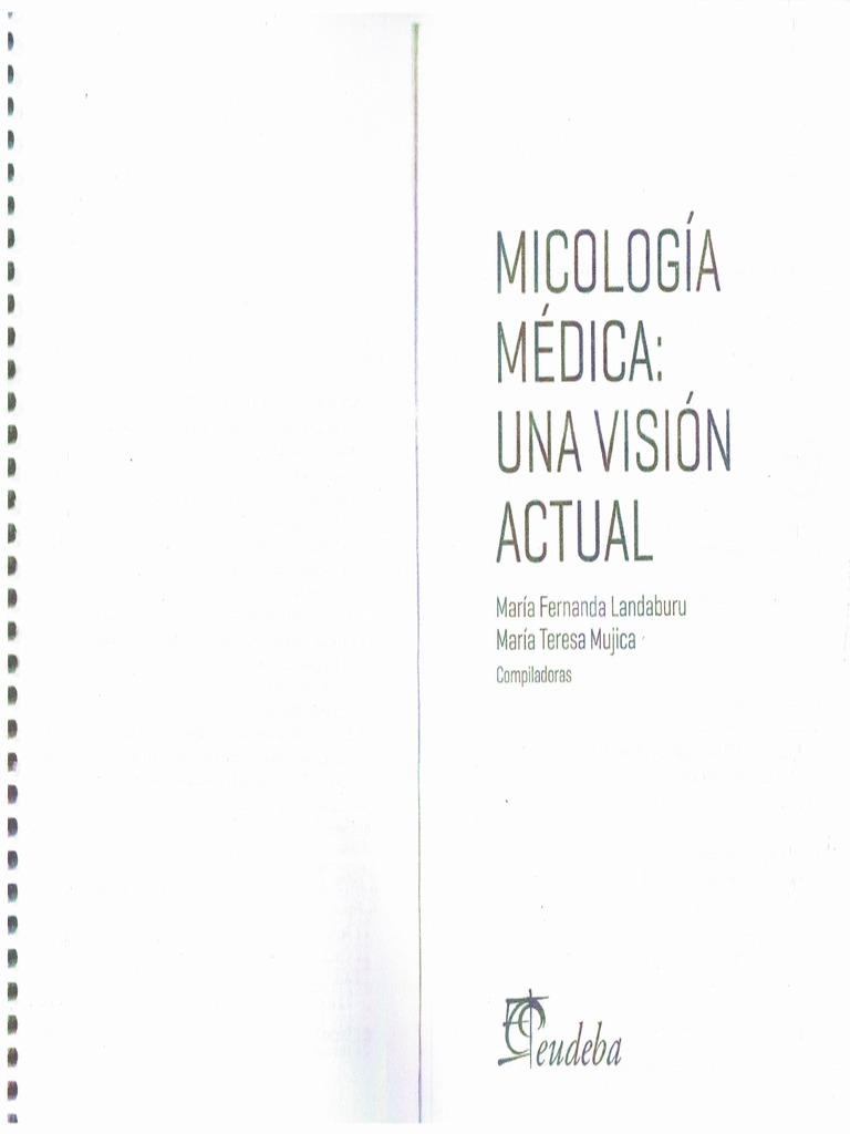 Mujica PDF