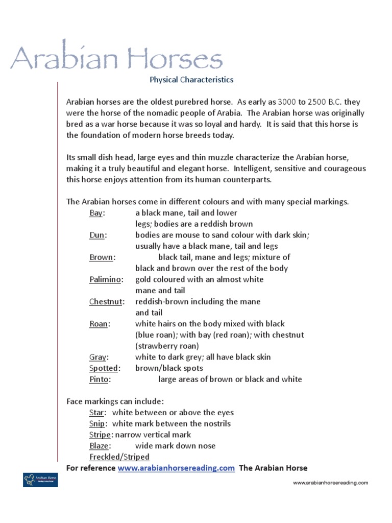 Arabian Horse Facts-Teacher Manual(1) | PDF | Horse Gait | Horses