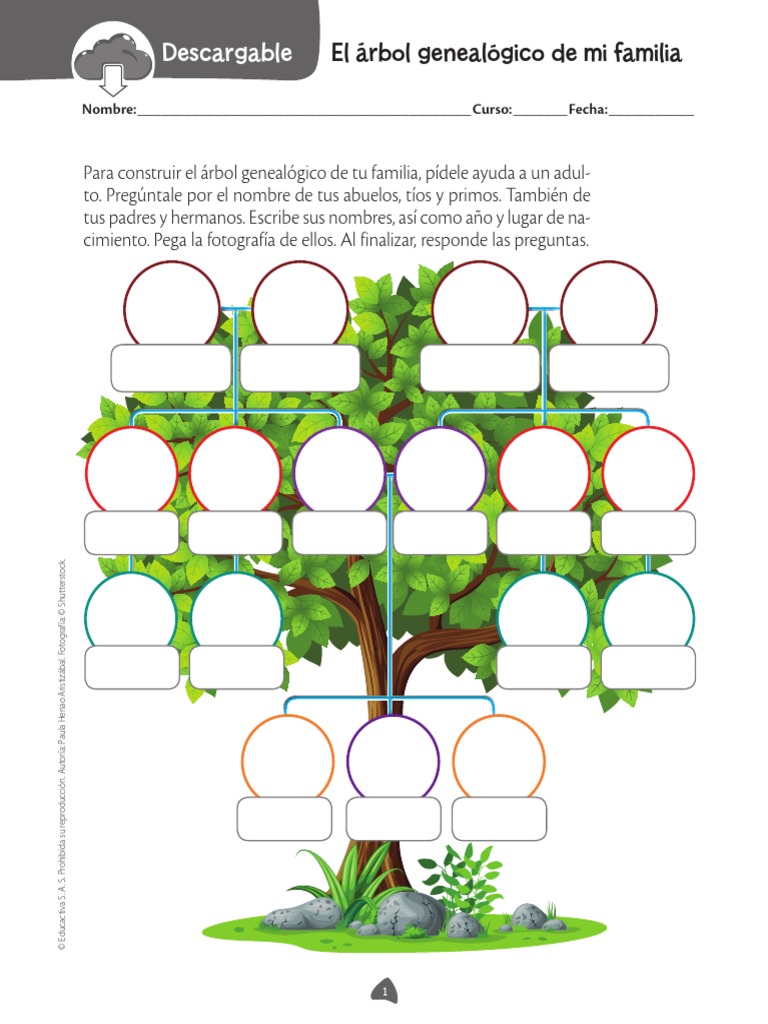 7 Semana Árbol Genealógico | PDF