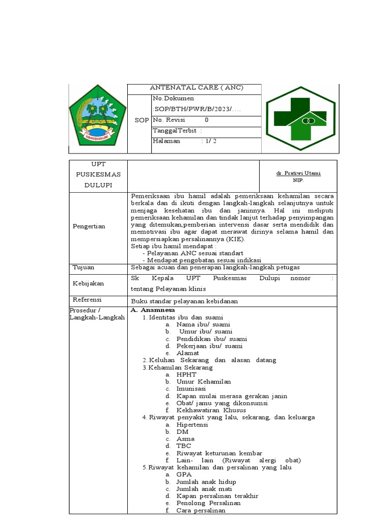 Panduan Pelayanan ANC Ibu Hamil | PDF