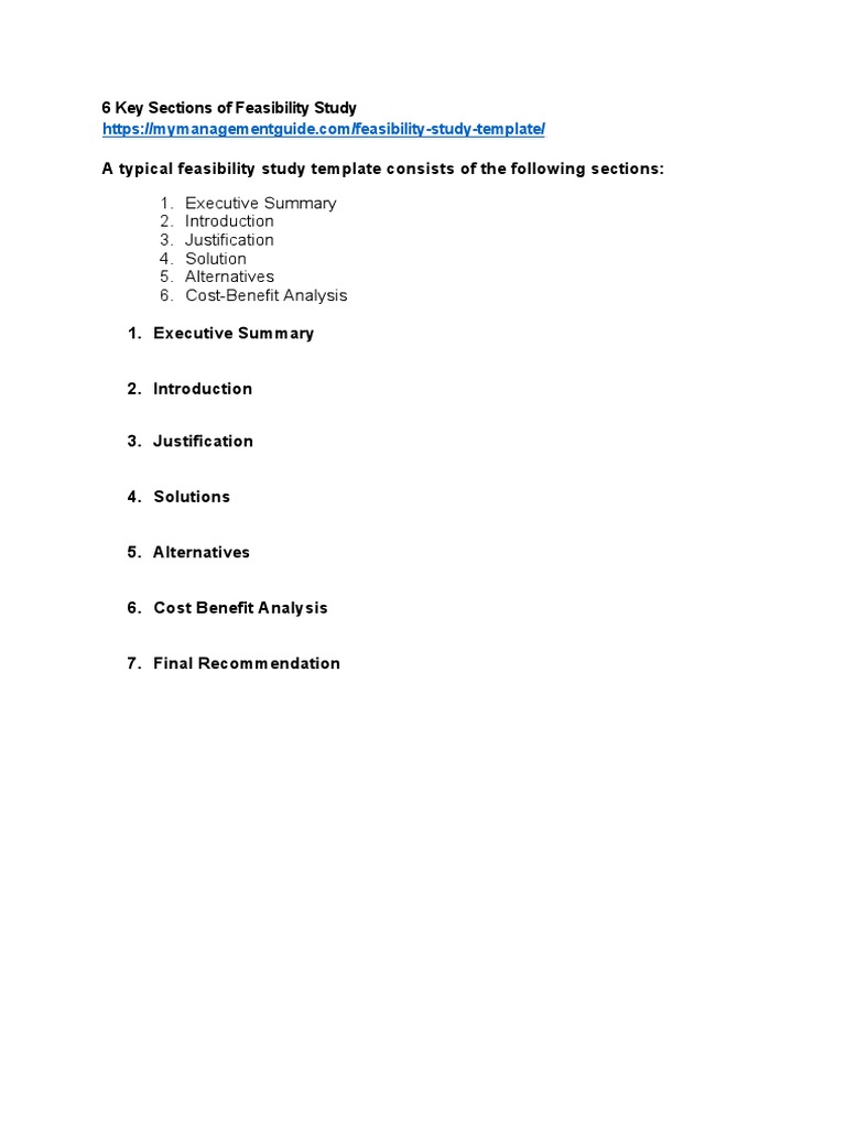 06 Feasibility Study - TEMPLATE | PDF