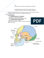 Sistemul Osos - Osteogeneza