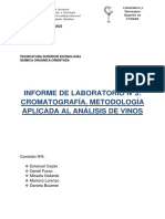 Informe de Cromatografia Grupo 5