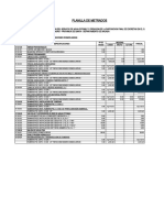 Red de Distribucion y Conexiones Domiciliarias