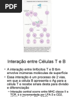 IMUNO CELULAR4