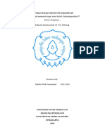 G0121090 - Nabilla Widi Permatasari - Laporan Praktikum Kraeplin - Nabilla Widi Permatasari - Revisi