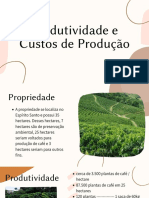 Produtividade e Custos de Produção