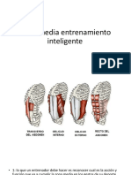 Zona Media Entrenamiento Inteligente