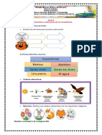 Guìa 8. Ciencias Naturales