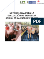 Metodologia BA Porcinos - Proteccion de Firma