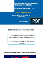 S 13 Teória Tejido Nervioso II PDF