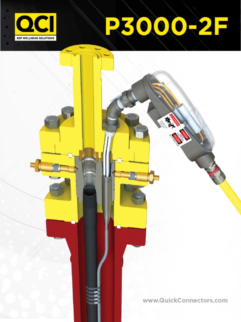P3000-2 Flyer - 3 | PDF