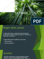 Piante