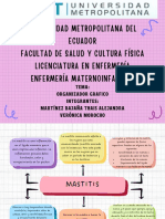 Mapa Conceptual Mastitis