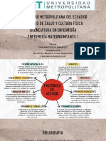 Mapa Conceptual Factores de Riesgo Durante El Embarazo