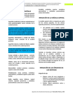 Manual de Aproximación A La Irrigación Esplácnica Del DR Reinaldo Palma