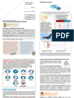 4guia Ciencias Naturales 7°