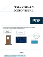 Informacion Sobre Ambliopía Estrábica