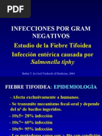 26-10 Fiebre Tifoidea, Diarreas Infecciosas-07especial