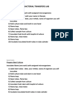 4-Bacterial Transfers Instruction Summary