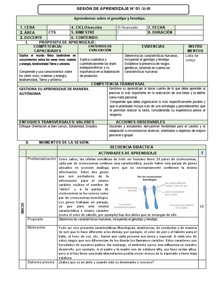 S1 Cts A3 U3 1 El Genotipo Y Fenotipo Pdf Dominancia Genética