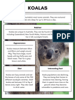 Information Report Template Animals