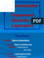 Treponema, Borellia, Leptospira ppt