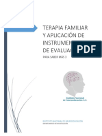 Clase 3 Terapia Familiar