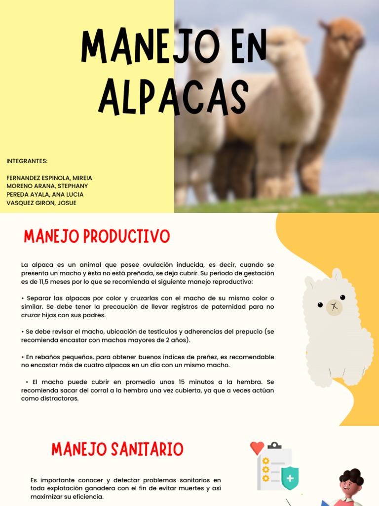 Tarea de Manejo de Alpaca | PDF | Biología